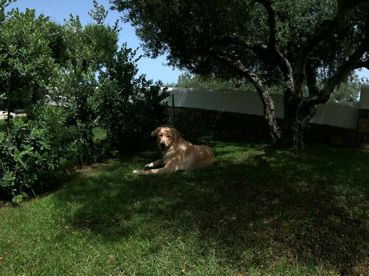 Nefeli Villas Hersonissos  Exteriör bild
