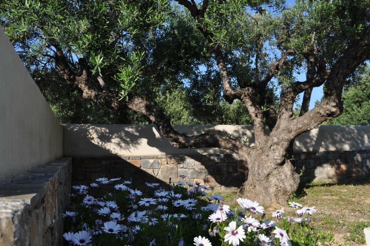 Nefeli Villas Hersonissos  Exteriör bild